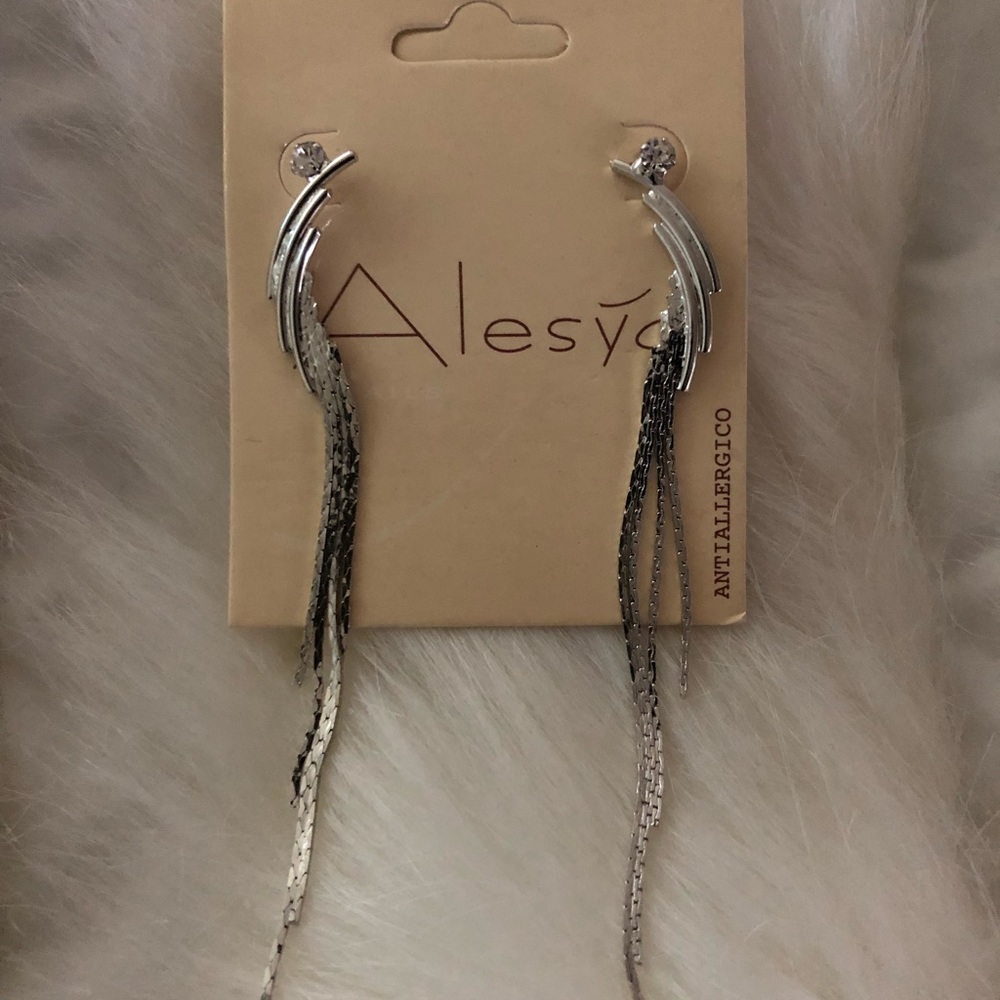 Fashion earrings